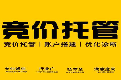 搜索引擎优化（SEO）与竞价广告（SEM）的对比案例